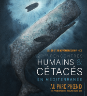 Rencontres Humains & Cétacés - 2e édition 2019