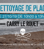 Nettoyage de plage - Carry Le Rouet
