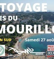Collecte de déchets sauvages Plage du Mourillon - Toulon