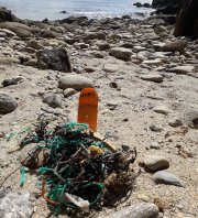 Nettoyage du littoral avec Ar Viltansoù, plages de Locmaria-Plouzané