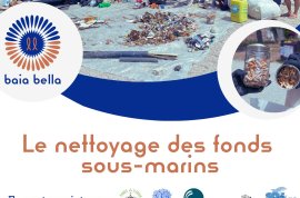 Nettoyage plage de la Petite Afrique