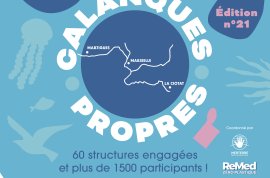 Calanques Propres - Secteur Anse de la Maronaise avec MerTerre