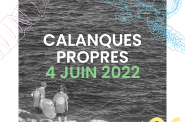 Calanques Propres - secteur Anse de la Maronaise avec MerTerre
